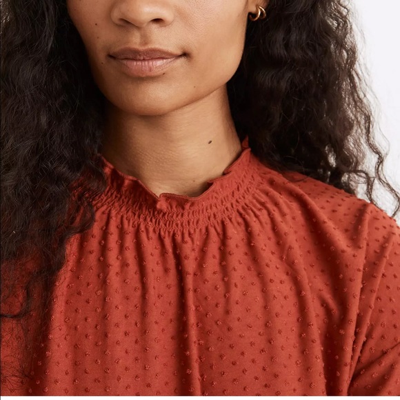 Madewell Clipdot Ruffle Top in Etruscan Clay - Picture 5 of 5